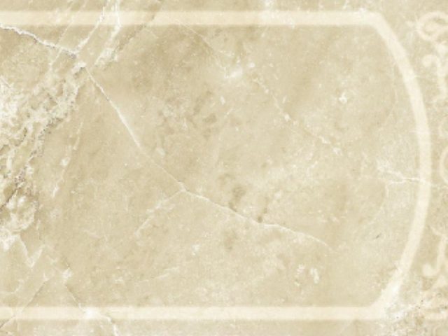 BARCELONA BEIGE 272 панель 24,5x69,5