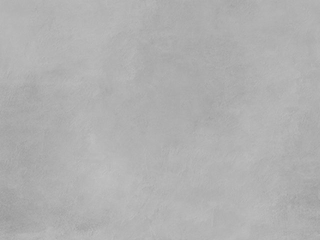 MILLENIUM 403 120x240