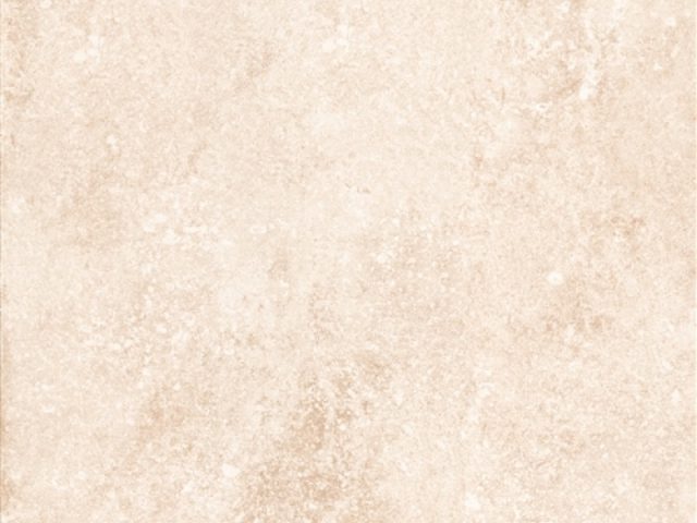 ВЕРБИЕР беж 532 60x120 (0,72/2,16/47,52)