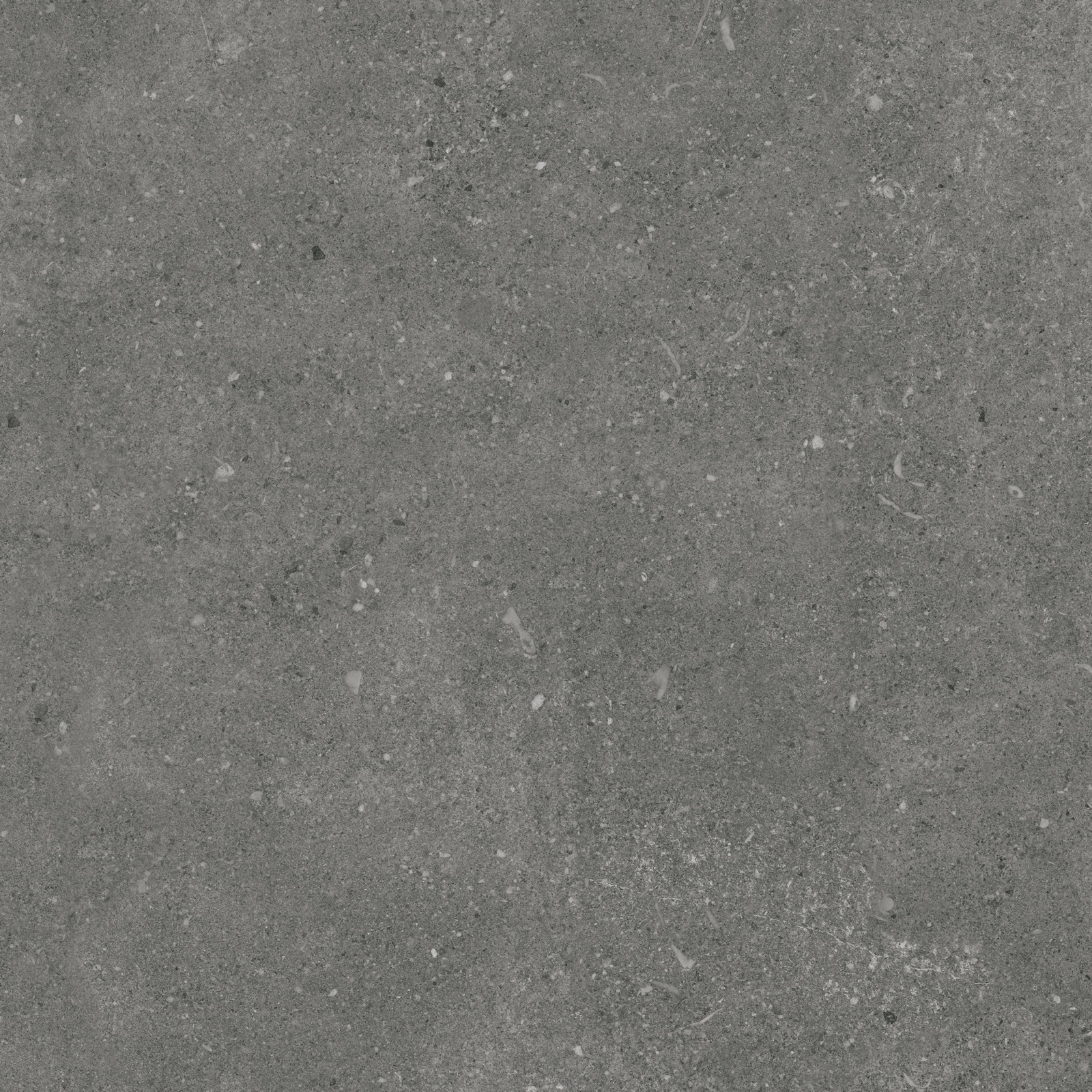Ракушечник/Shellstone Мокко Мат. 60x60