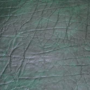 CANEWOOD DkGreen/ 1,1м